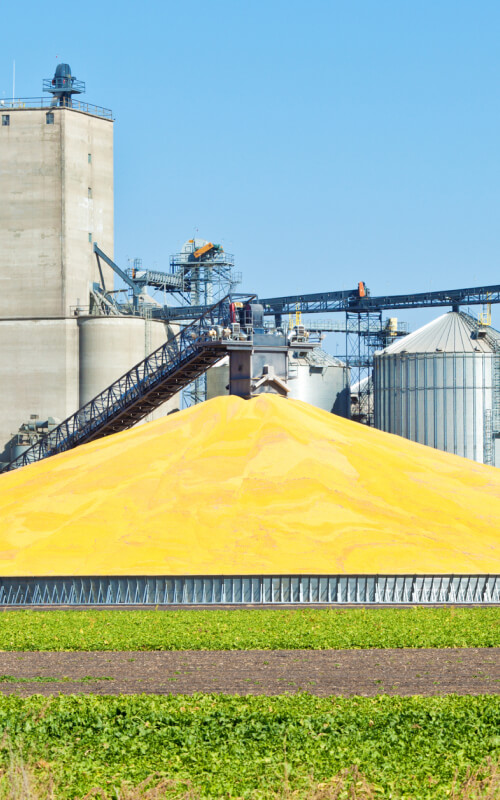 Corn processing plant with large pile of grains in front of silos